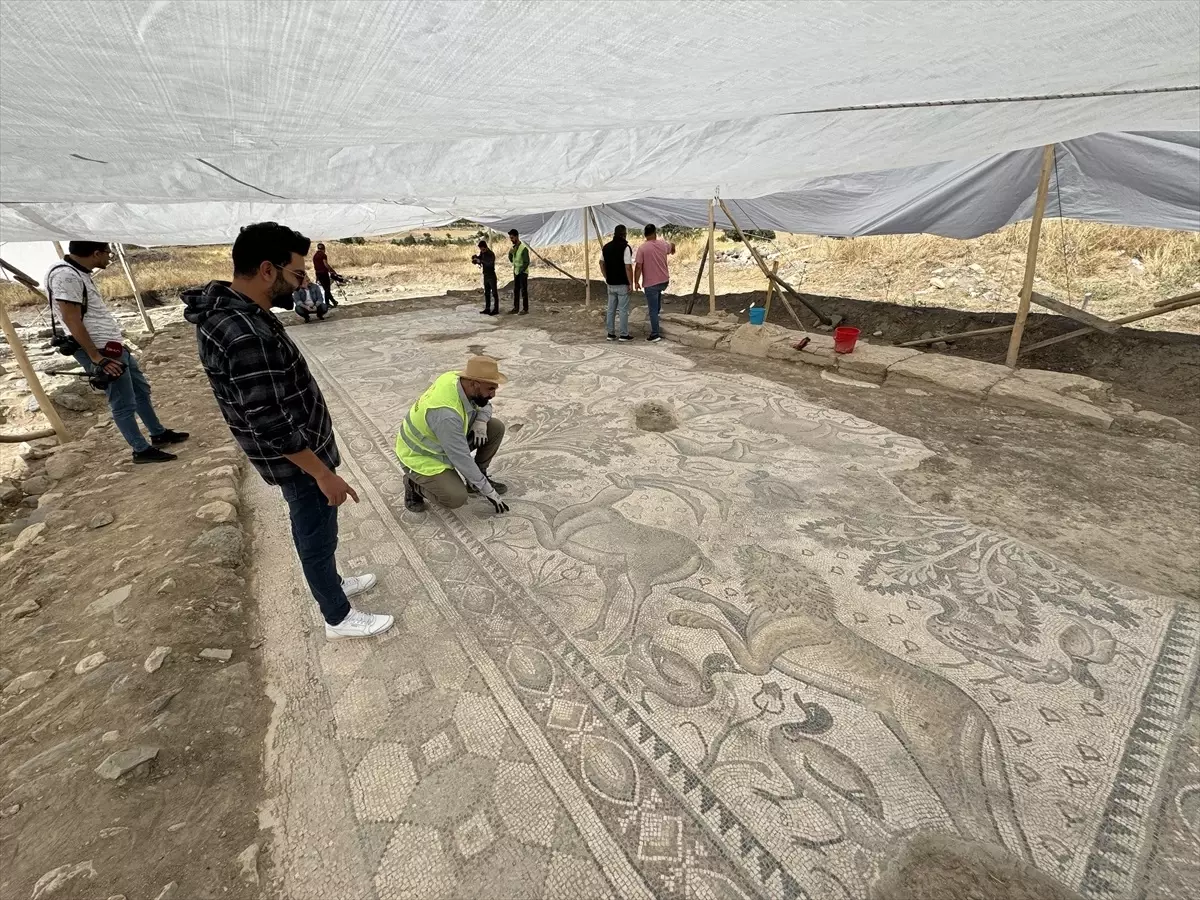 Elazığ’da Roma Dönemine Ait Hayvan Figürleriyle Mozaik Bulundu
