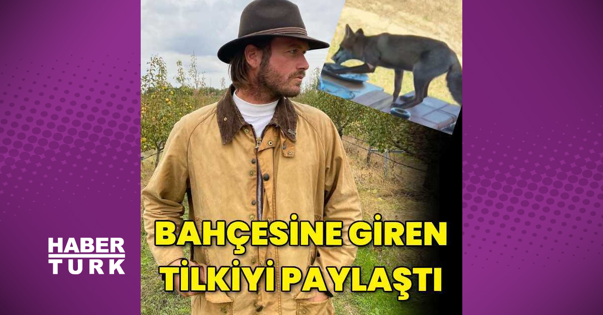 Kıvanç Tatlıtuğ, bahçesine giren tilkiyi paylaştı
