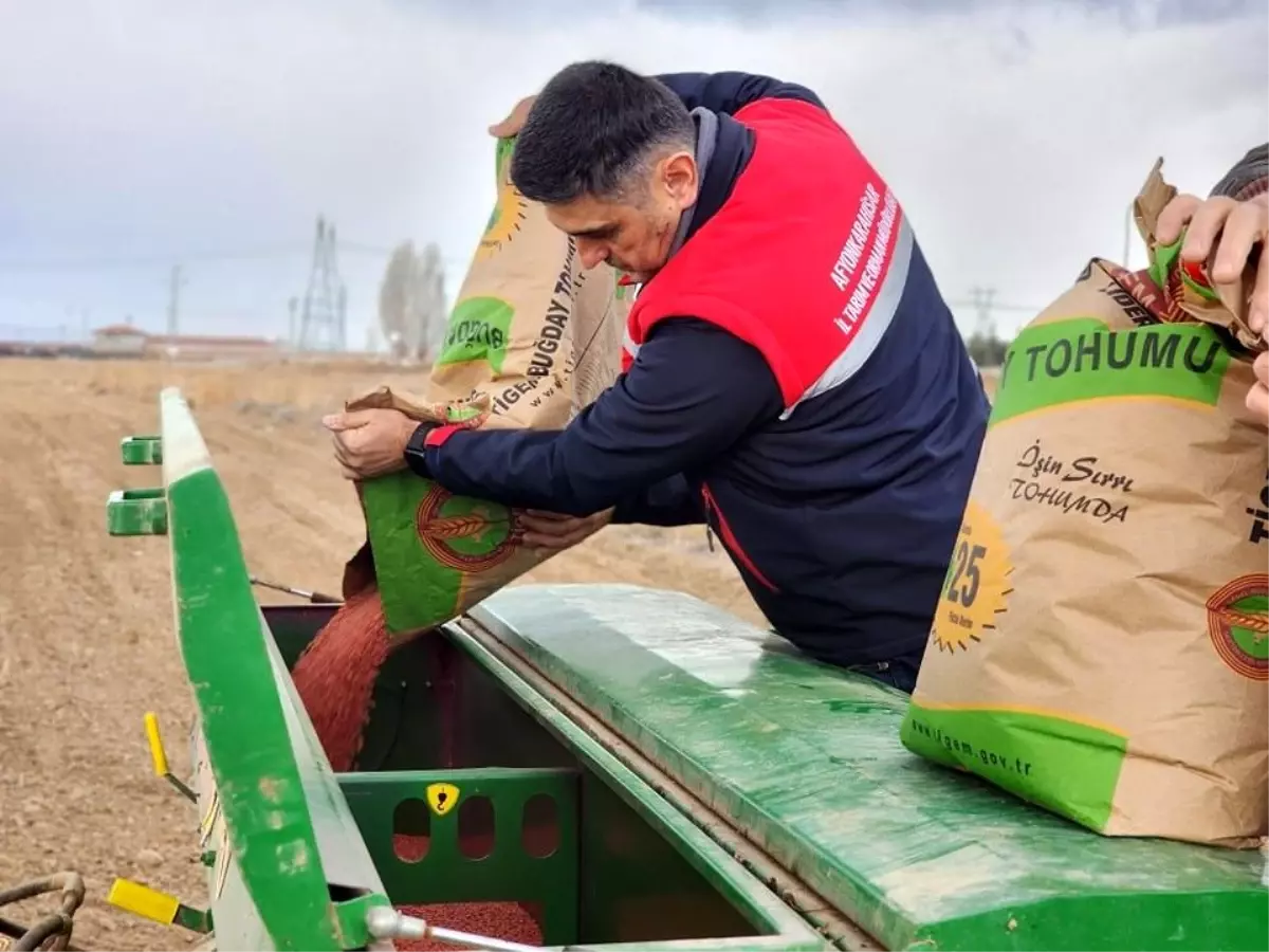 Afyonkarahisar’da 300 Ton Buğday Ekimi Yapıldı