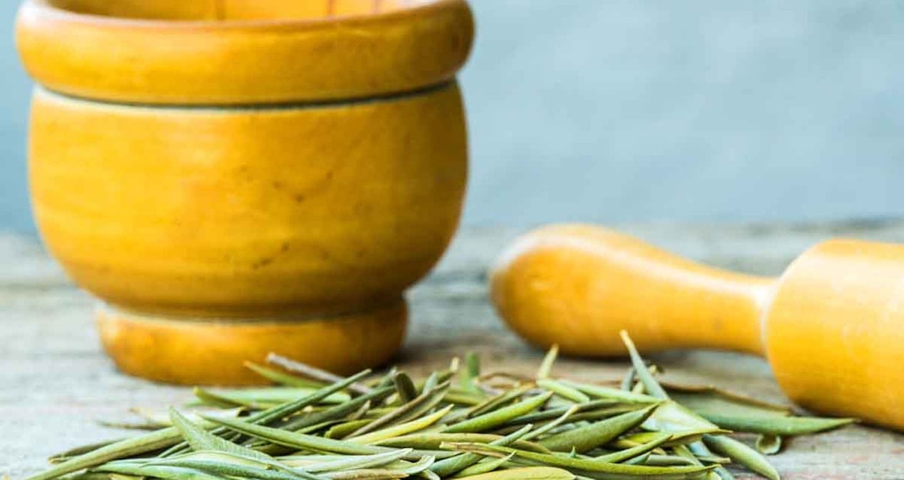 Üretimde ilk sıralardayız ama Türkler bu çayı içmiyor! Güçlü antioksidanlar içeriyor, tam şifa deposu