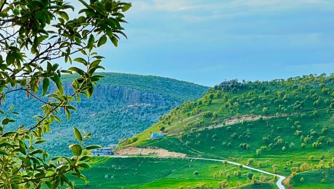 Diyarbakır’da baharın ahengi göz kamaştırdı